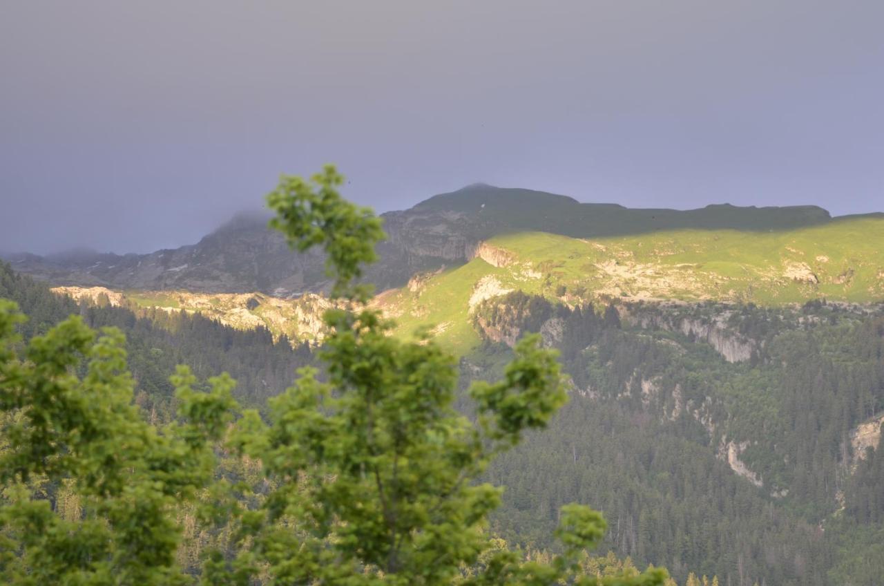Domaine Du Grand Tetras Samoens Daire Dış mekan fotoğraf