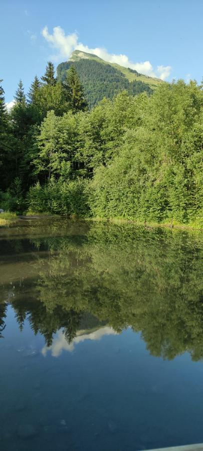 Domaine Du Grand Tetras Samoens Daire Dış mekan fotoğraf